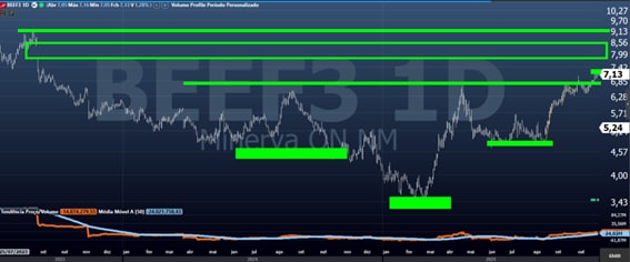MINERVA ON (BEEF3)  MINERVA ON (BEEF3)